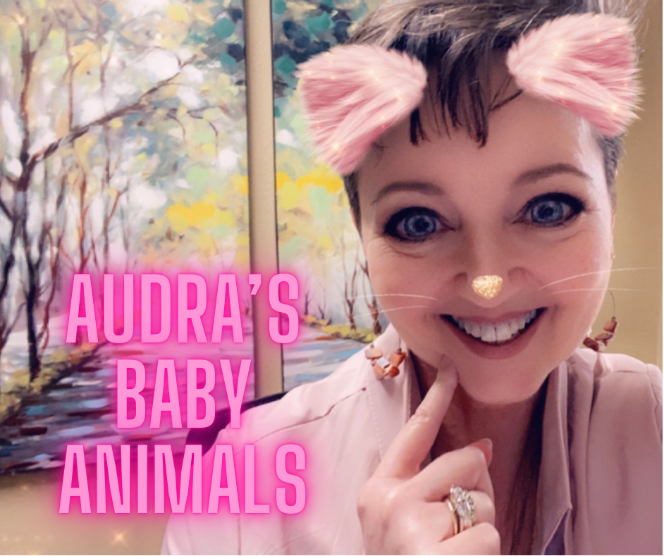 Audra's Baby Animals 4/19/22
