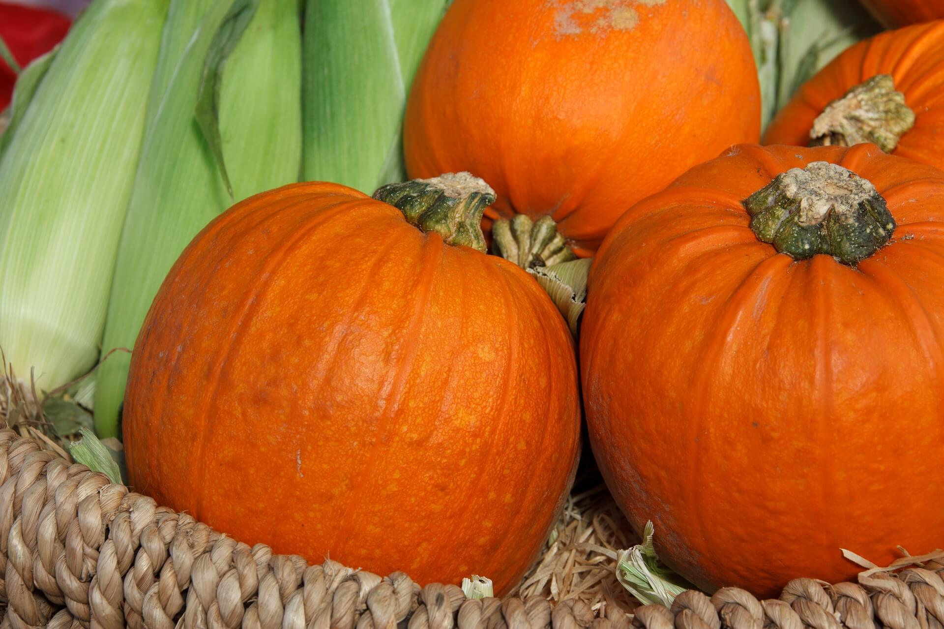 Pumpkin Spice is Back... Just in time for August?