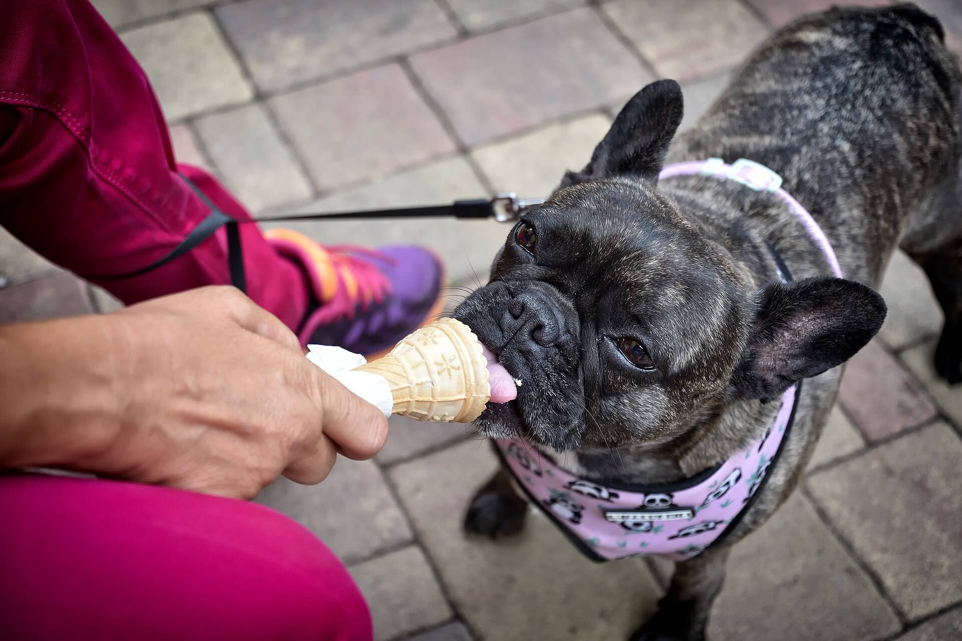 Oscar Meyer Introduces Hot Dog Ice Cream