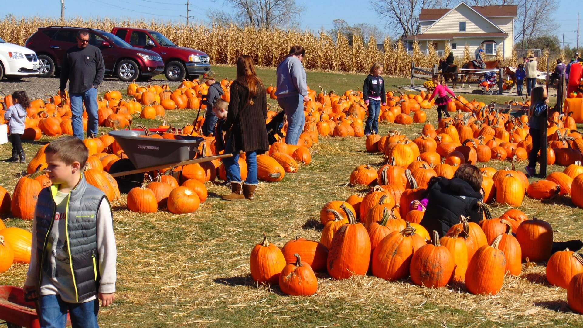 Pumpkin Fest Coming This Weekend