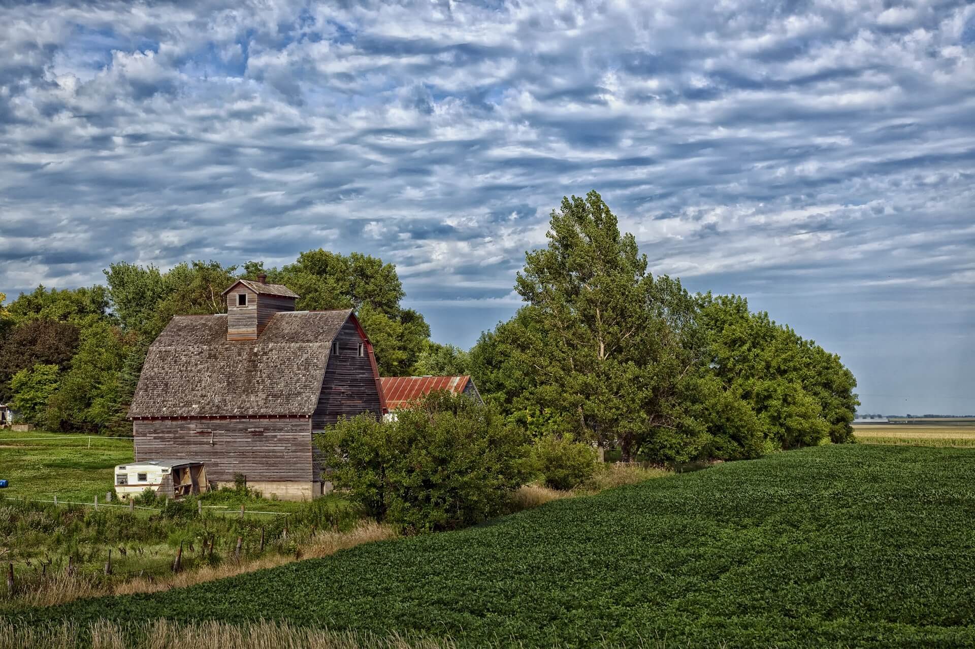 Cattlemen Picnic Coming to Ste Genevieve County