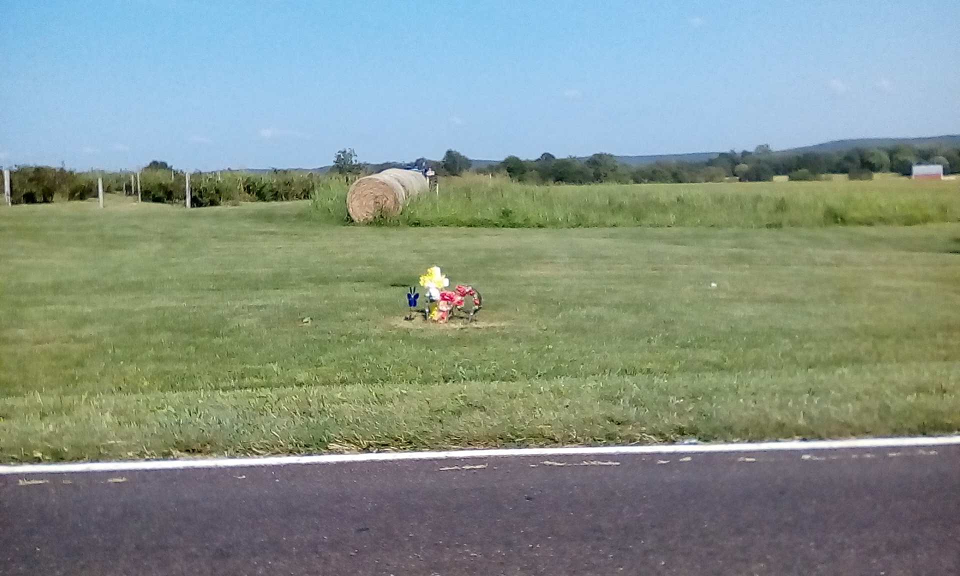 Developments in Fatal Mennonite Buggy Crash